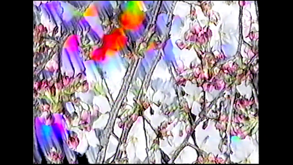 Video Art for Conditional Malaise still